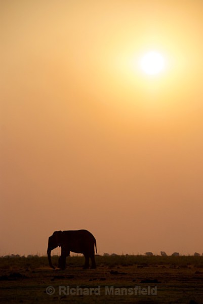  - African Journey