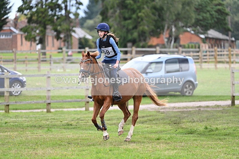 WJ7_9079 - 60cm Time 12:51 to 13:18