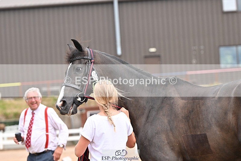 250716-153312-02003 - Trot Up 3.30 to 4.30