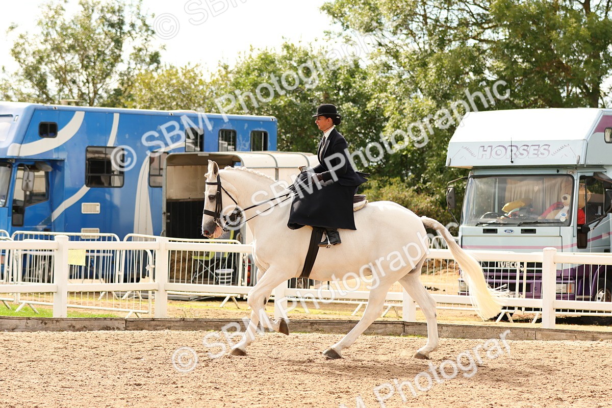 SBM_15899 - Class 216 - Best Side Saddle Horse-Pony