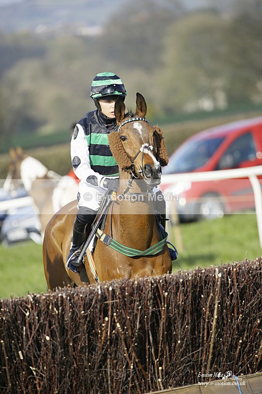 PtP 200322 354 - Mendip Farmers Point-to-Point 20/03/22