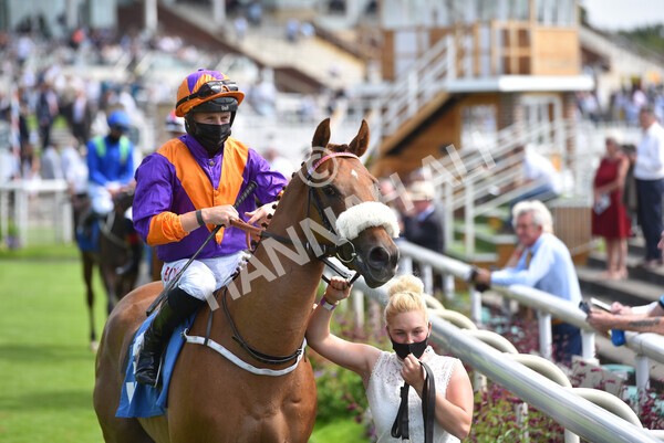 yr09072021r3-8 - Race 3 3.15pm William Hill Pick Your Places Irish EBF Novice Stakes