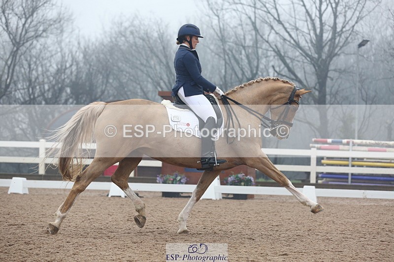 240217A-123642-02928 - 274-Clare.Smith-Dori.Dragon.Fly