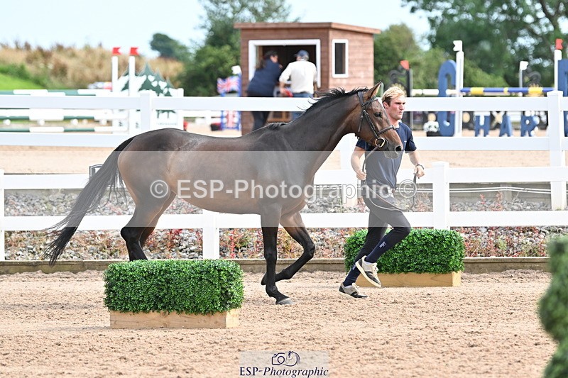 240717A-164514-03516 - Trot Up 4pm to 5pm