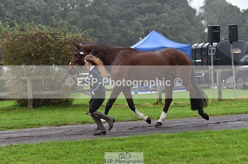 231018-120150-00040 - 040-DODINGTON-Sophie.Wildern-TrotUp