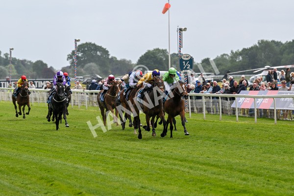 150525-American Affair-3656 - Race 1 2.10pm Lindum York Handicap