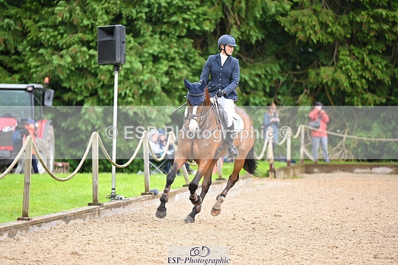 240526-155129-25134 - 214-DSH_GOLDEN_EYE-Lucinda_Mesquita