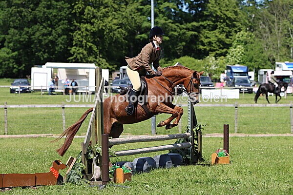 IMG_3790 - Working Hunter