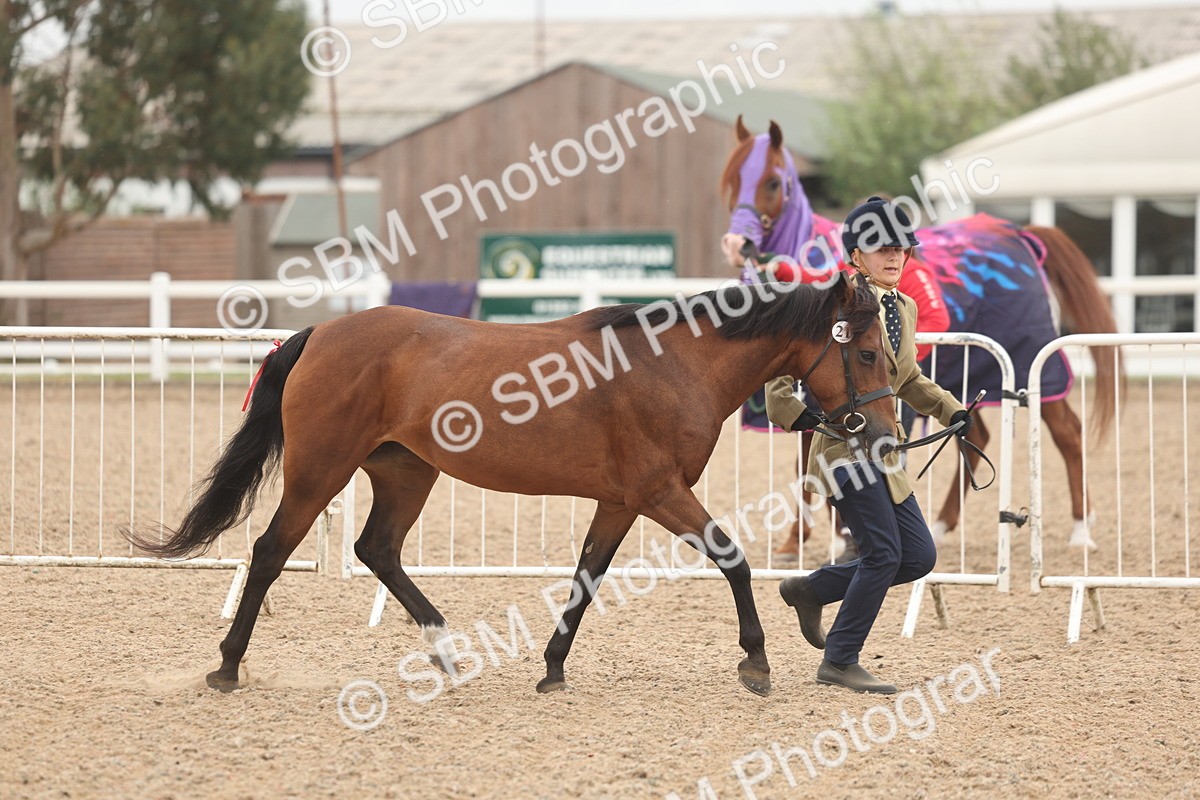 SBM_00502 - Class 13 Young Handler