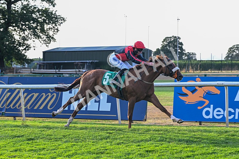 140826-Race 4-Raging Raj-1324 - Race 4 19.18pm Andrew Seaton Celebration Cup Handicap