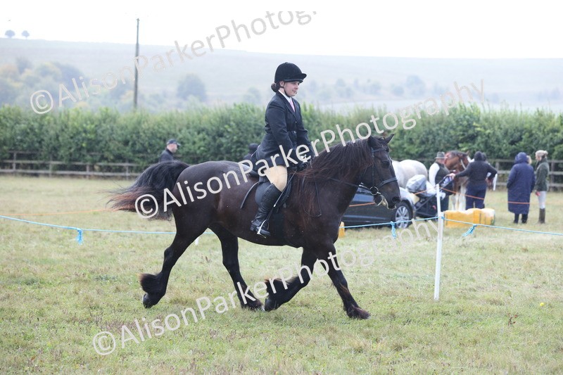 20250831-2425 - Class 16 - Family Pony