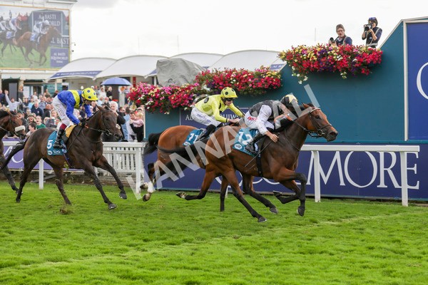 230824-Race 7-Treasure Time-8569 - Race 7 5.20pm Sky Bet Mile Handicap