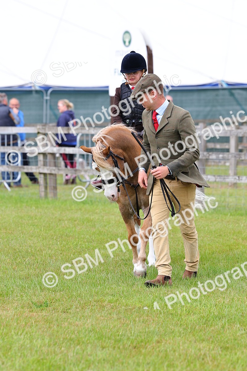 SBM_08173 - Class 42-43 - LIHS BSPS Heritage Working Sports Pony