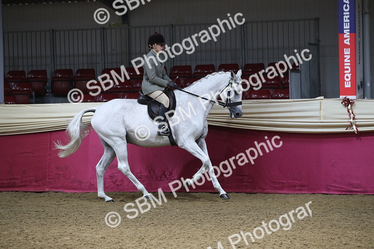 SBM_10389 - Class 102 Equitation (best rider) Adult