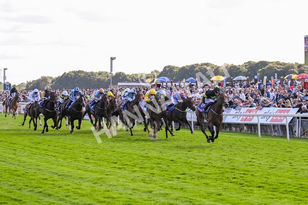 240824-Race 4-Magical Zoe-1639 - Race 4 3.35pm Sky Bet Ebor Handicap
