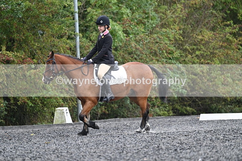 WJ7_3932 - Time 11:04 to 11:38