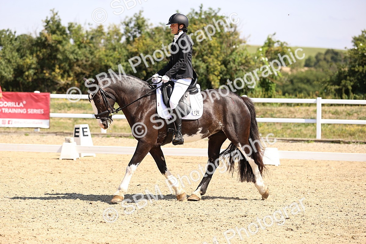 SBM_003643 - Intro 2