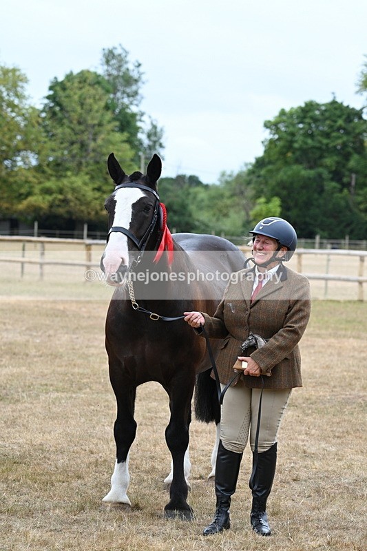 WJ7_0228 - Gelding Champs