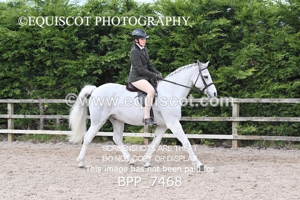 BPP_7468 - RING 1  (RIDDEN HORSES / IN HAND / VETERAN ETC)