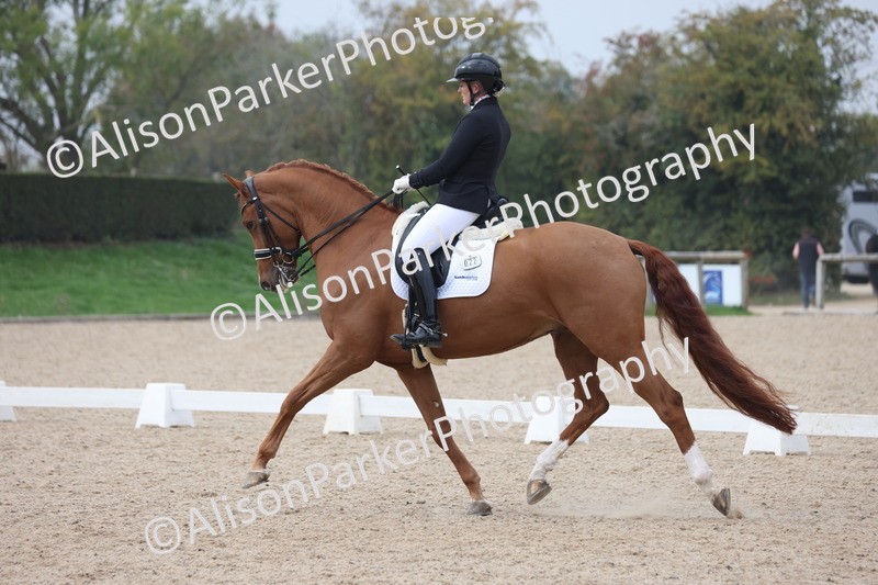 20251012-0792 - Class 9 - Advanced Medium 3