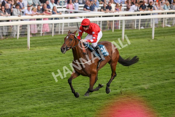 280723-Race 1-Tele Red-2671 - Race 1 5.00pm Pearly Cow Handicap