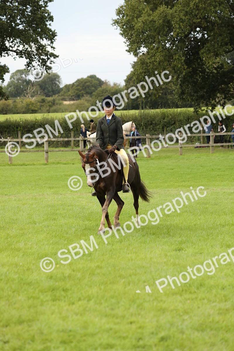 SBM_71648 - S41 - Ridden Equitation (Best Rider)