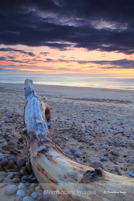 Findorn driftwood - Sunrise to sunset gallery
