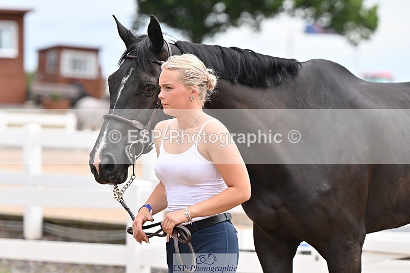 250716-144303-01328 - Trot Up 2.30 to 3.30