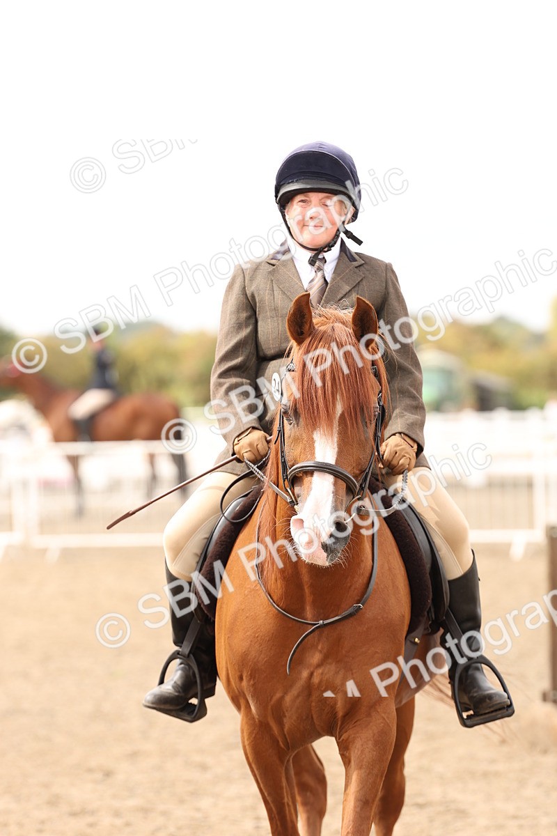 SBM_05213 - Class 56b -  Style & Performance - 50cm (20+)