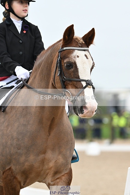 241103-113641-00551 - Intro 3 - 10.50 to 11.44