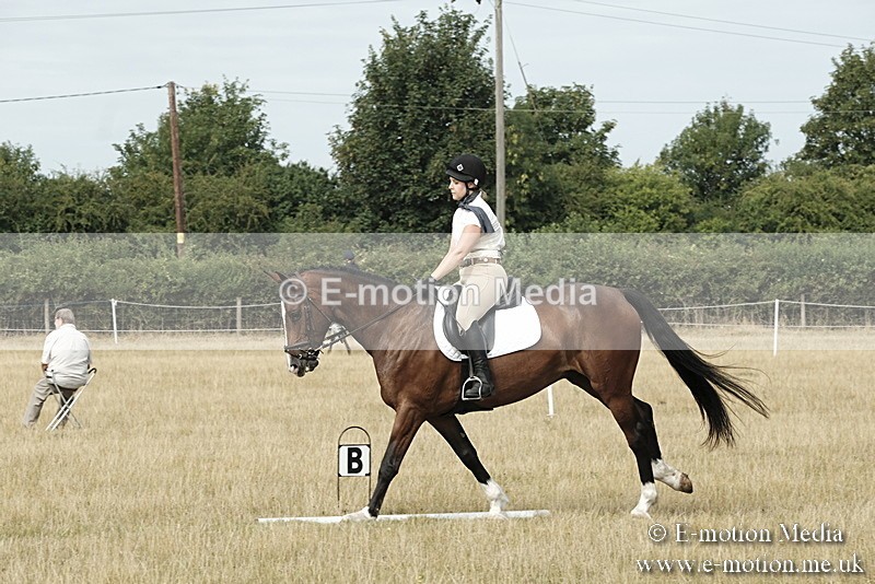 _PJP5695 - Dressage Classes BVRC Show 2018