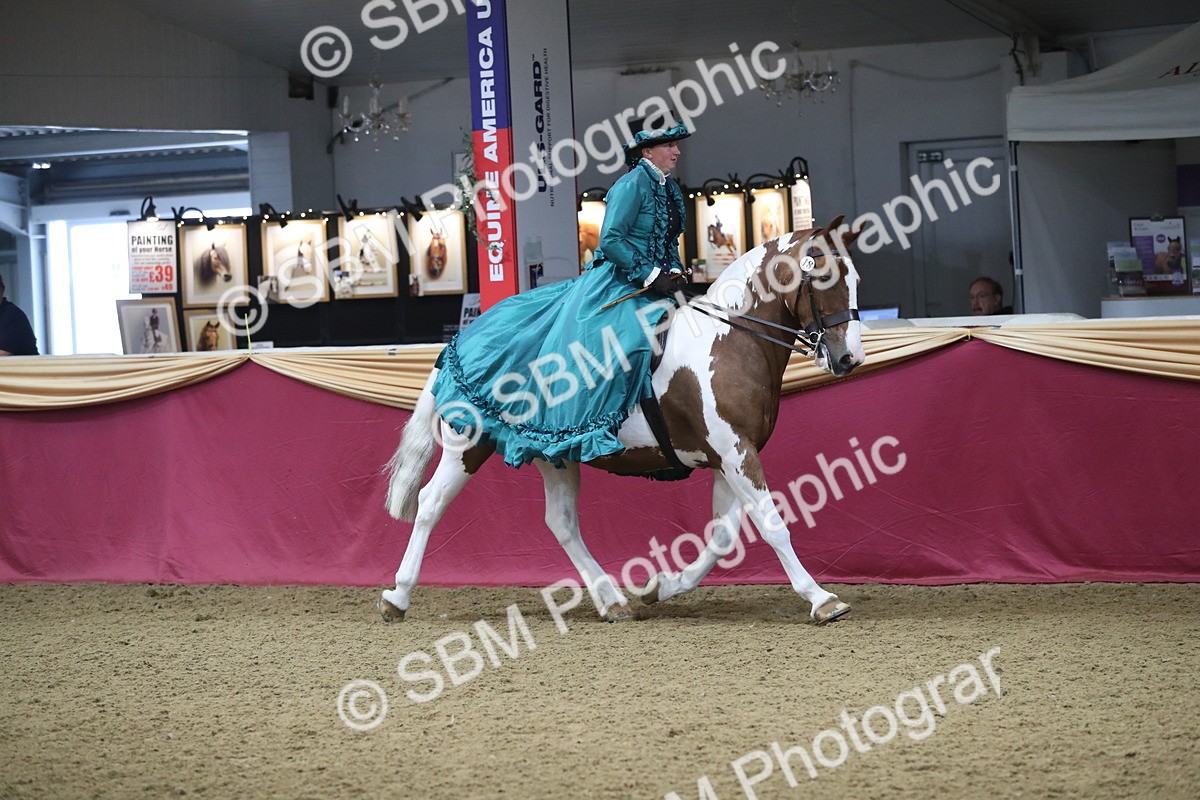 SBM_11981 - Class 106 Ridden Costume- Astride Adult (15-19)