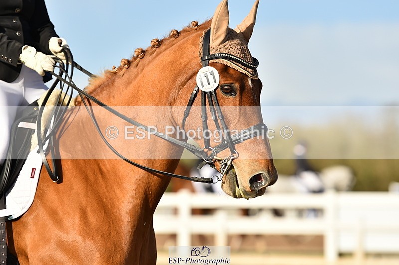 231104A-134218-01895 - Cls 10 Medium 61