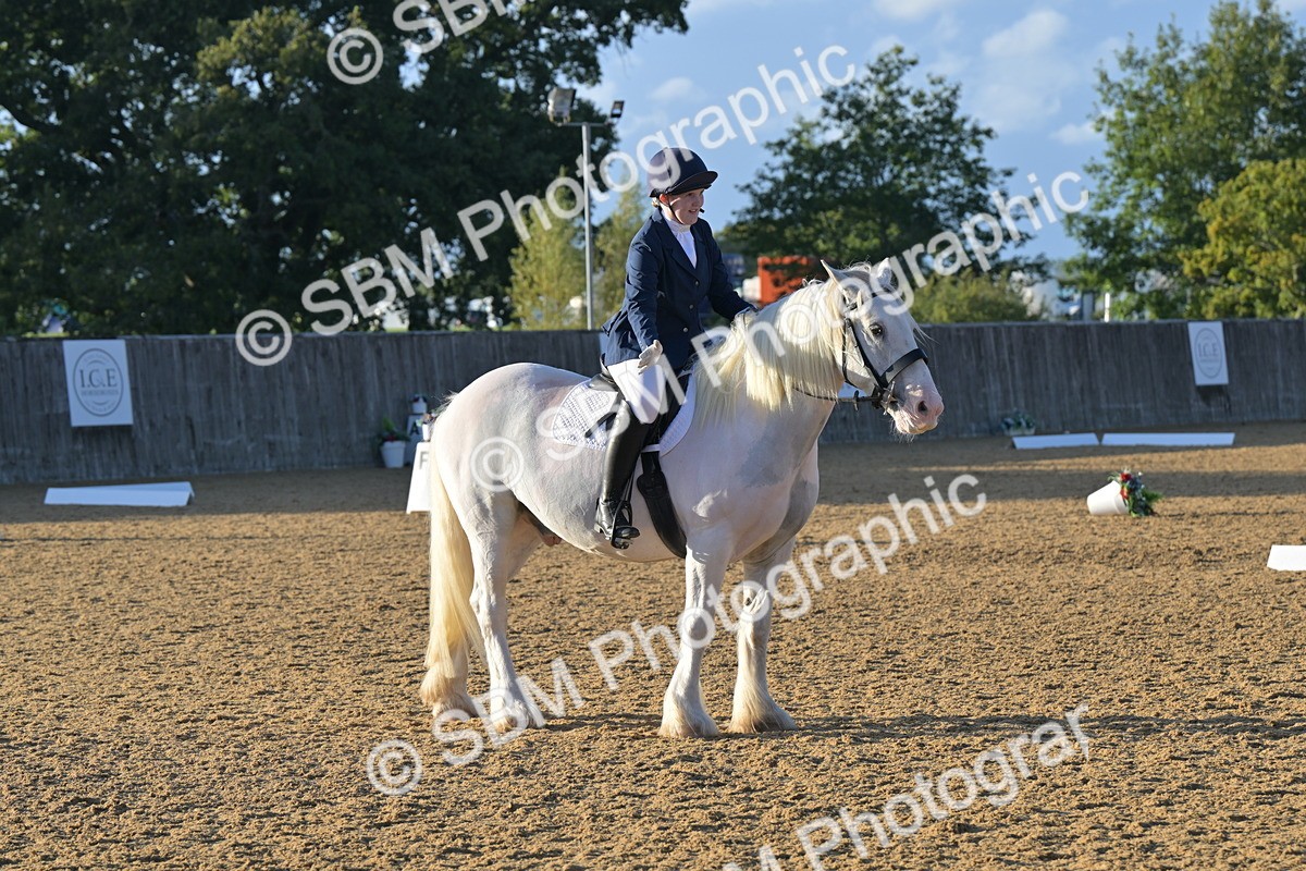 SBM_13201 - D3 - Small Tour Championship Intro 3