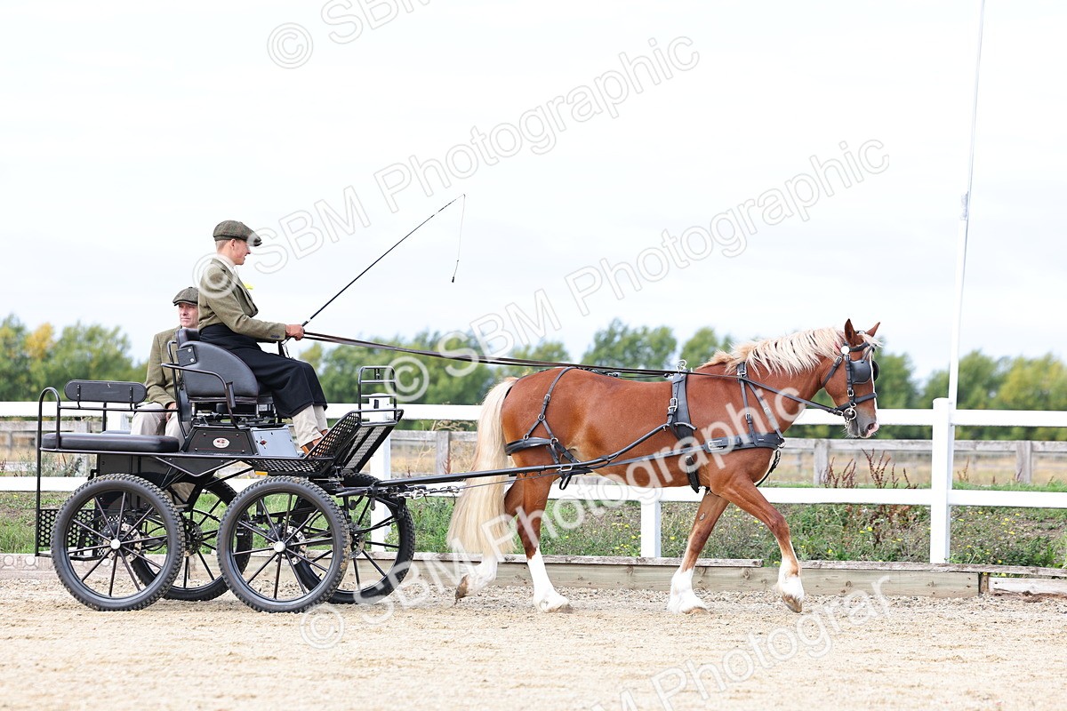 SBM_000694 - Class 6 - Exercise Vehicle 13.2 and over