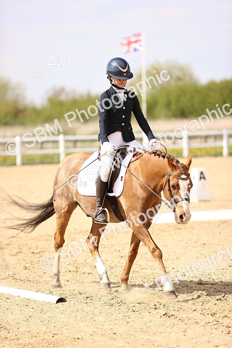 SBM_008470 - Class 8-10-11 - N3-E1-PYO