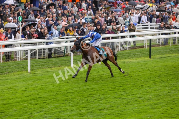 130724-Race 3-Enfjaar-2023 - Race 3 3.10pm John Smith's Cup Handicap