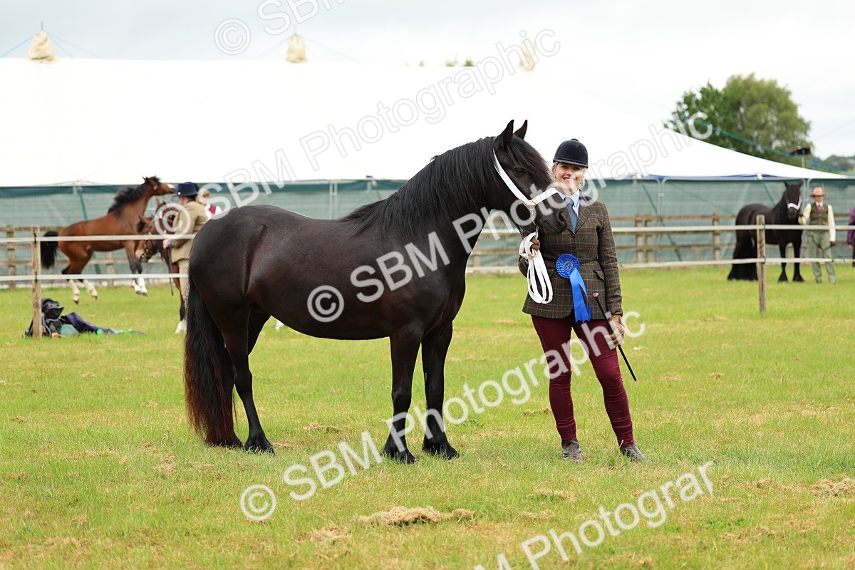 SBM_00445 - Class 58-67 - M&M Non Welsh Pony In hand