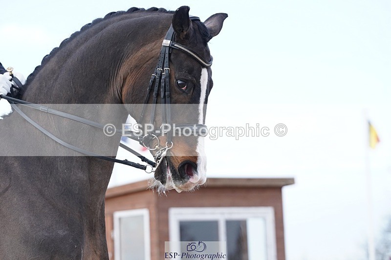 250403-103354-00757 - 019-Darren.Hicks-Sir.Robinson