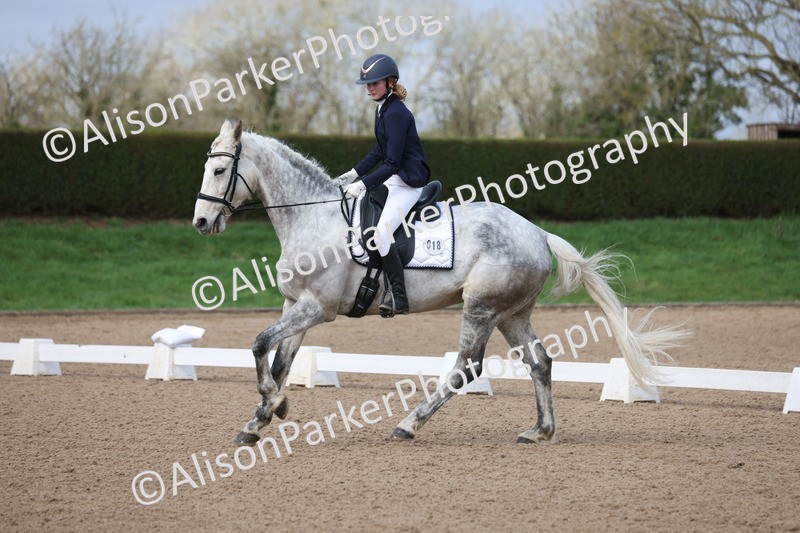 20260301-0155 - Class 2 - Prelim 5