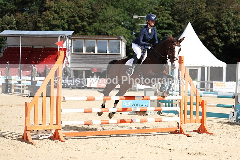 3E7A1985 - Class 4: Senior British Novice/90cm open