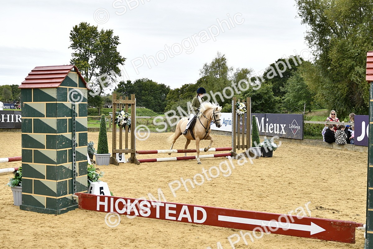 SBM_65401 - J2a mini Tour Junior Pony 30cm Championship