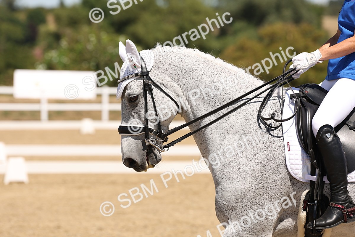SBM_002257 - Elementary 4 Warm Up