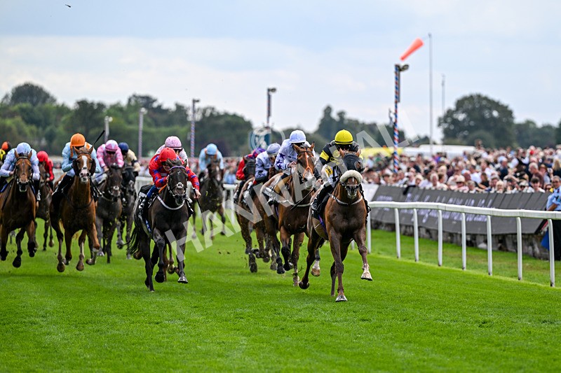 190826-Race 1-Air Force One-0677 - Race 1 13.50pm Hong Kong Jockey Club World Pool Handicap