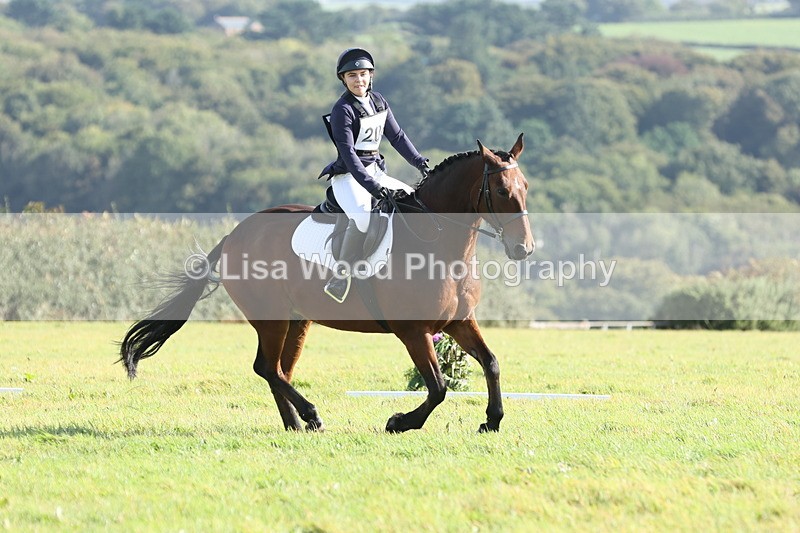 JPP_7949 - Class 2A: Trekenning Open: Dressage