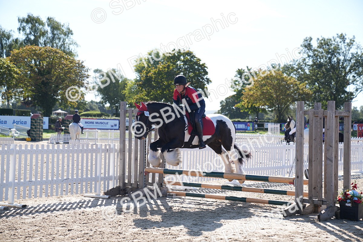 SBM_17616 - J58 - Clear Round 60cm