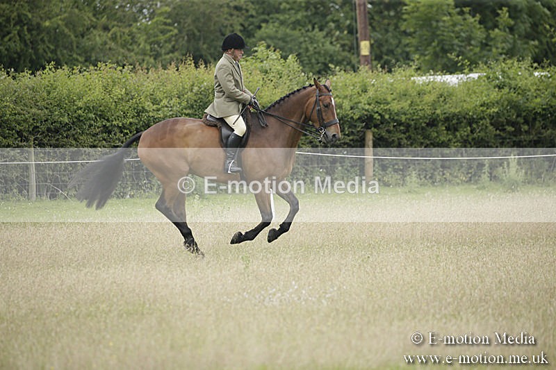 B230619-0801 - Bourne Valley Riding Club Summer Show 23/06/19