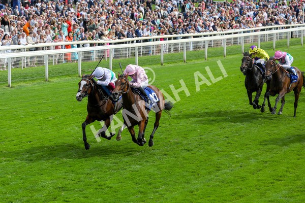240823-Race 4-Warm Heart-5197 - Race 4 3.35pm Pertemps Network Yorkshire Oaks