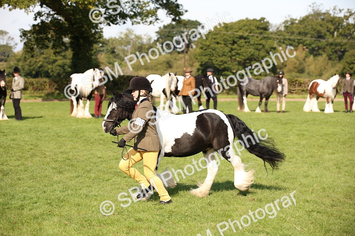 SBM_62227 - S55 - Traditional Cob In Hand