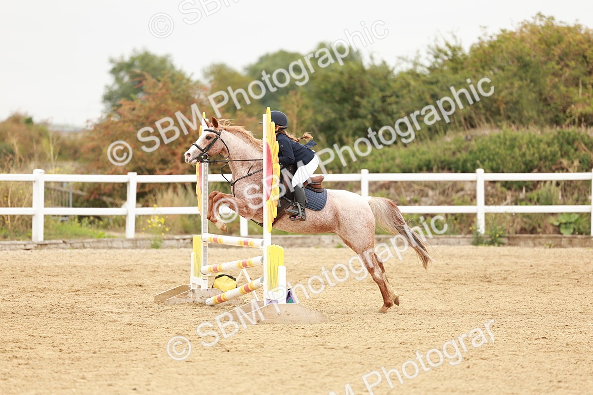 SBM_008262 - Class 5 - 80cm